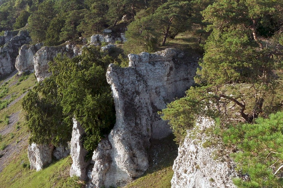 Bayerische Naturdenkmale – Zeitzeugen und Quellen des Lebens