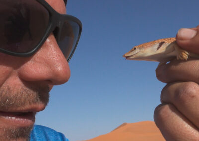 Bernhard Rübe und ein Sandfisch in Marokko