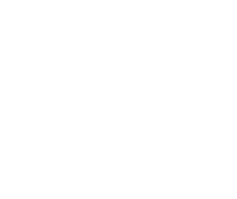 NaturFilmPreis 2024 für die Bartgeier