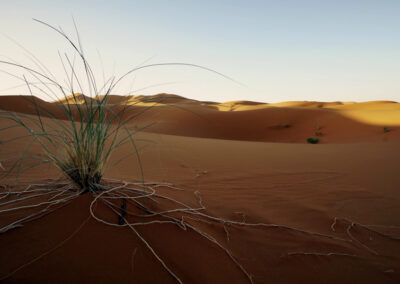 Sanddünen in Marokko